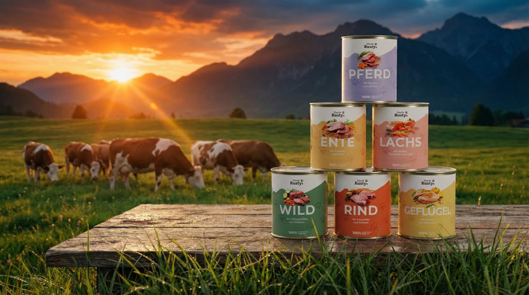 Noch unsicher?